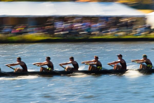 Team rowing on the river